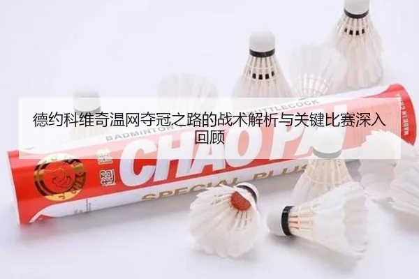 德约科维奇温网夺冠之路的战术解析与关键比赛深入回顾